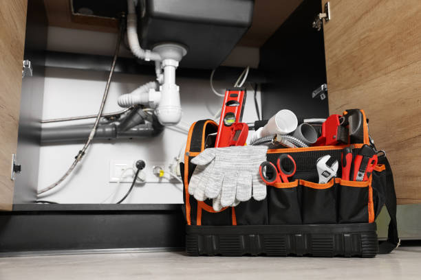 Best Commercial Plumbing Services  in Buckingham, FL