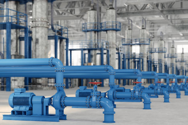 Best Sewer Line Repair  in Buckingham, FL