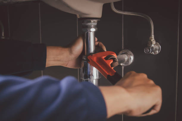 Best Clogged Drain Plumber  in Buckingham, FL